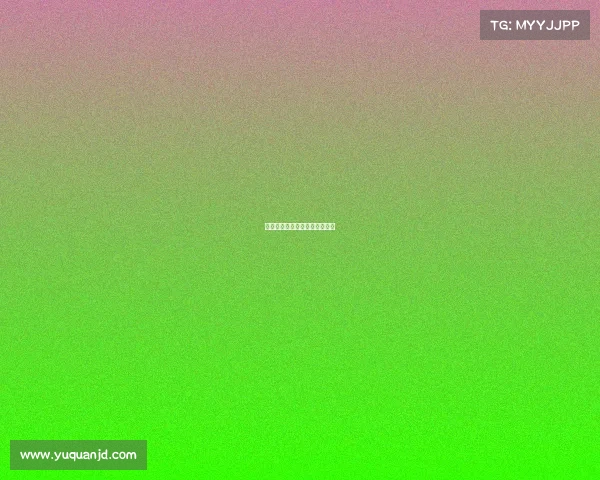 女排赛事名单—女排的赛程安排